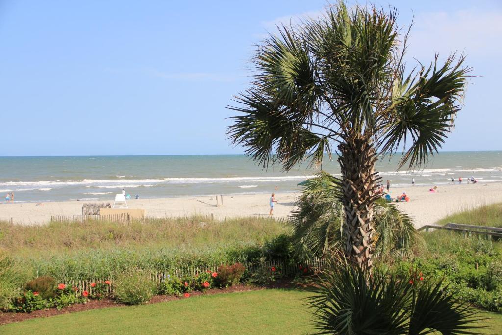 Hotel Jade Tree Cove Myrtle Beach Exteriér fotografie